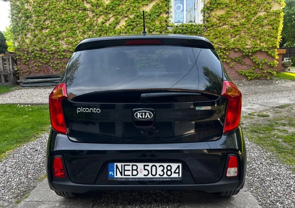 Kia Picanto cena 29900 przebieg: 56600, rok produkcji 2015 z Pasłęk małe 137